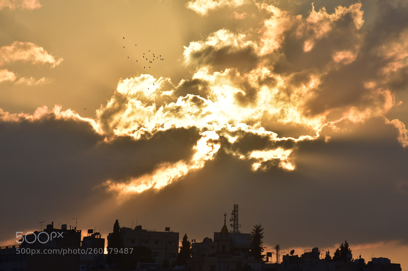 Nikon D3400 sample photo. Amman  photography