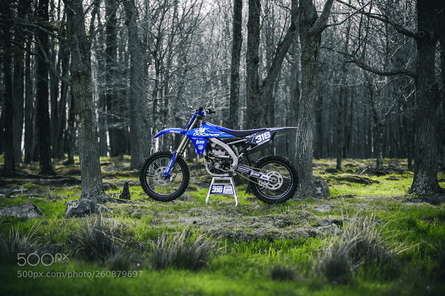 Canon EOS 5D Mark II sample photo. Dave316 photography