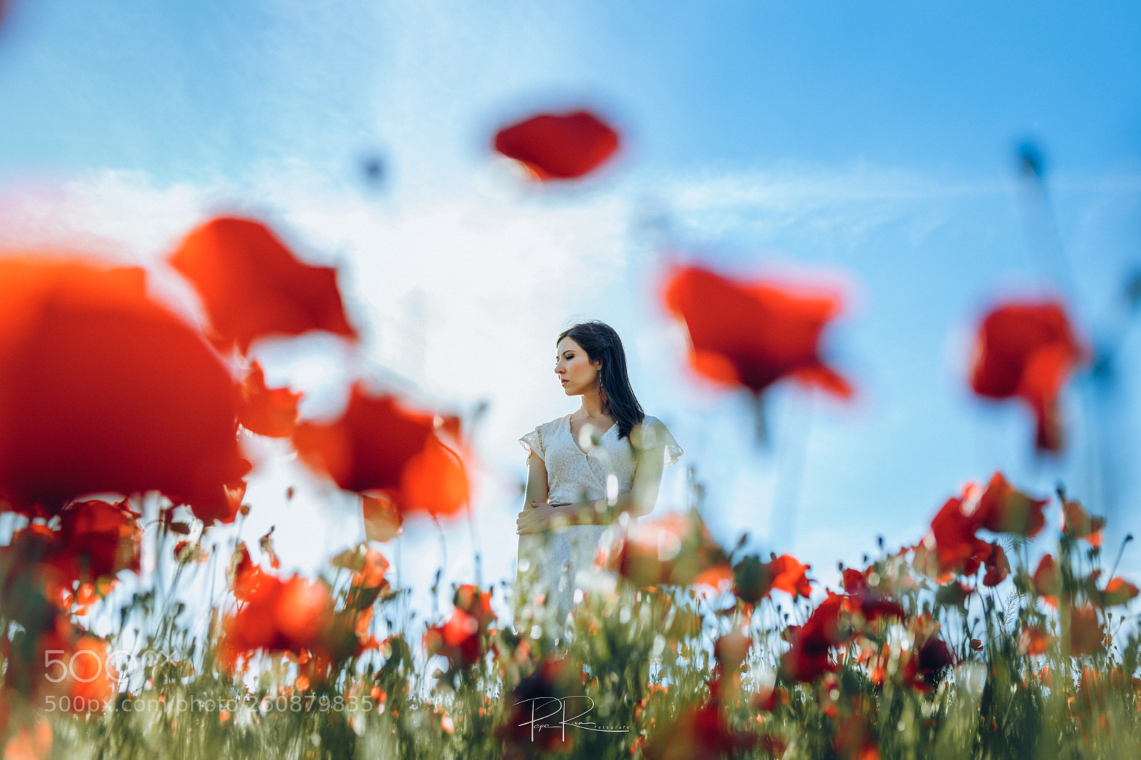 Canon EOS 6D sample photo. In a poppy field photography