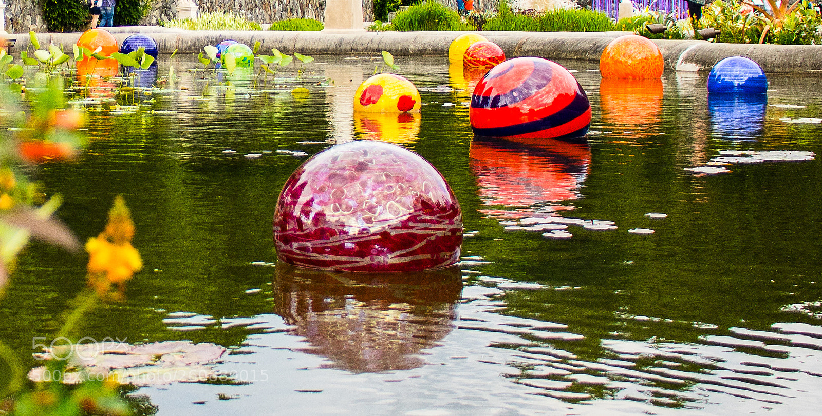 Canon EOS 750D (EOS Rebel T6i / EOS Kiss X8i) sample photo. Chihuly exhibit at biltmore photography