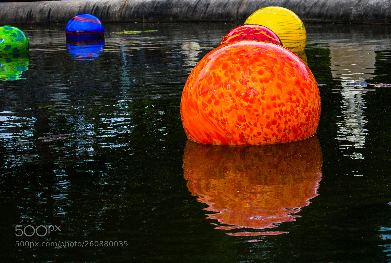 Canon EOS 750D (EOS Rebel T6i / EOS Kiss X8i) sample photo. Chihuly exhibit at biltmore photography