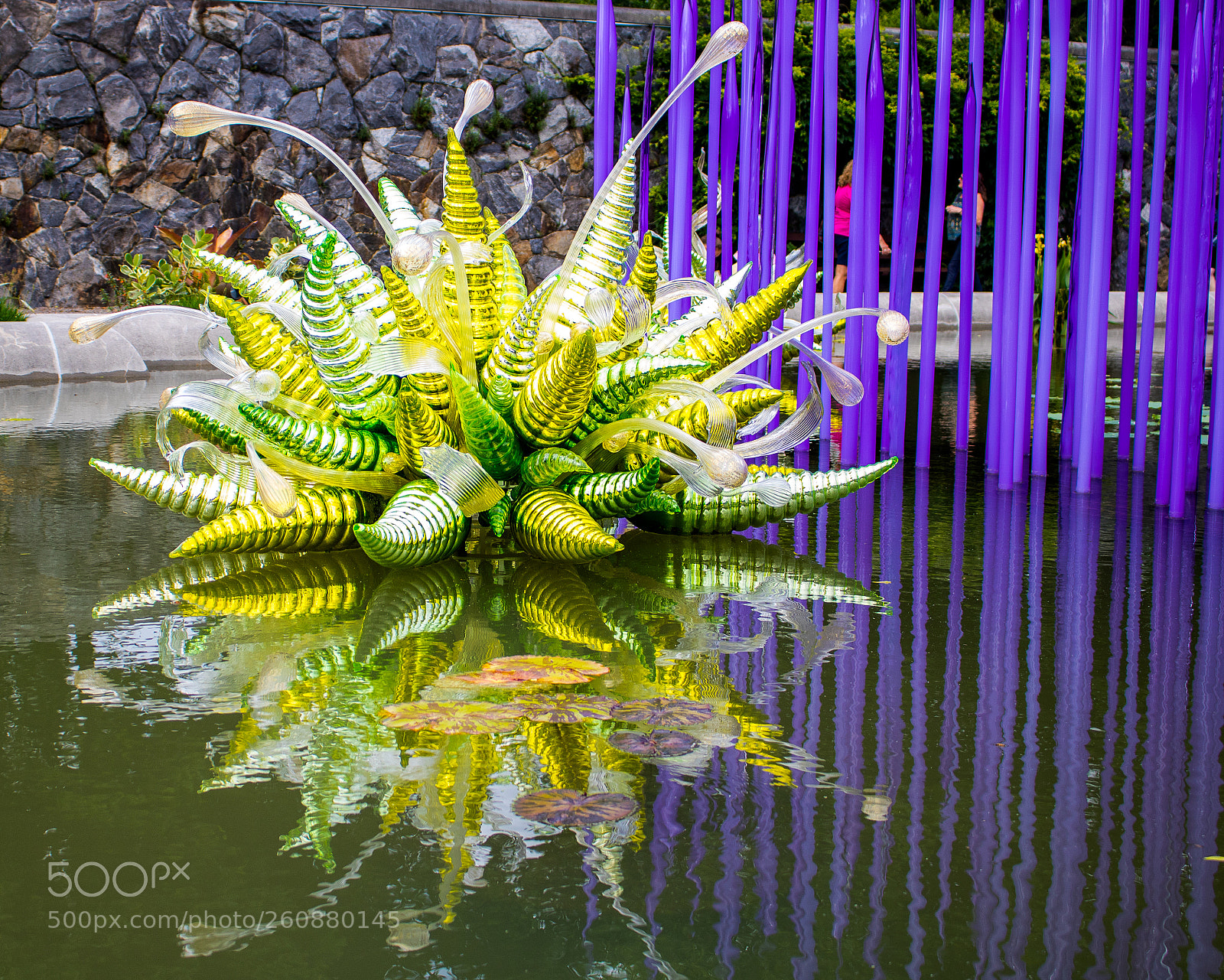 Canon EOS 750D (EOS Rebel T6i / EOS Kiss X8i) sample photo. Chihuly exhibit at biltmore photography