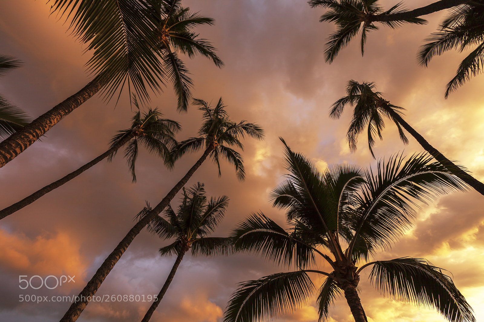 Canon EOS 5D Mark II sample photo. Spectacular sunset on the photography