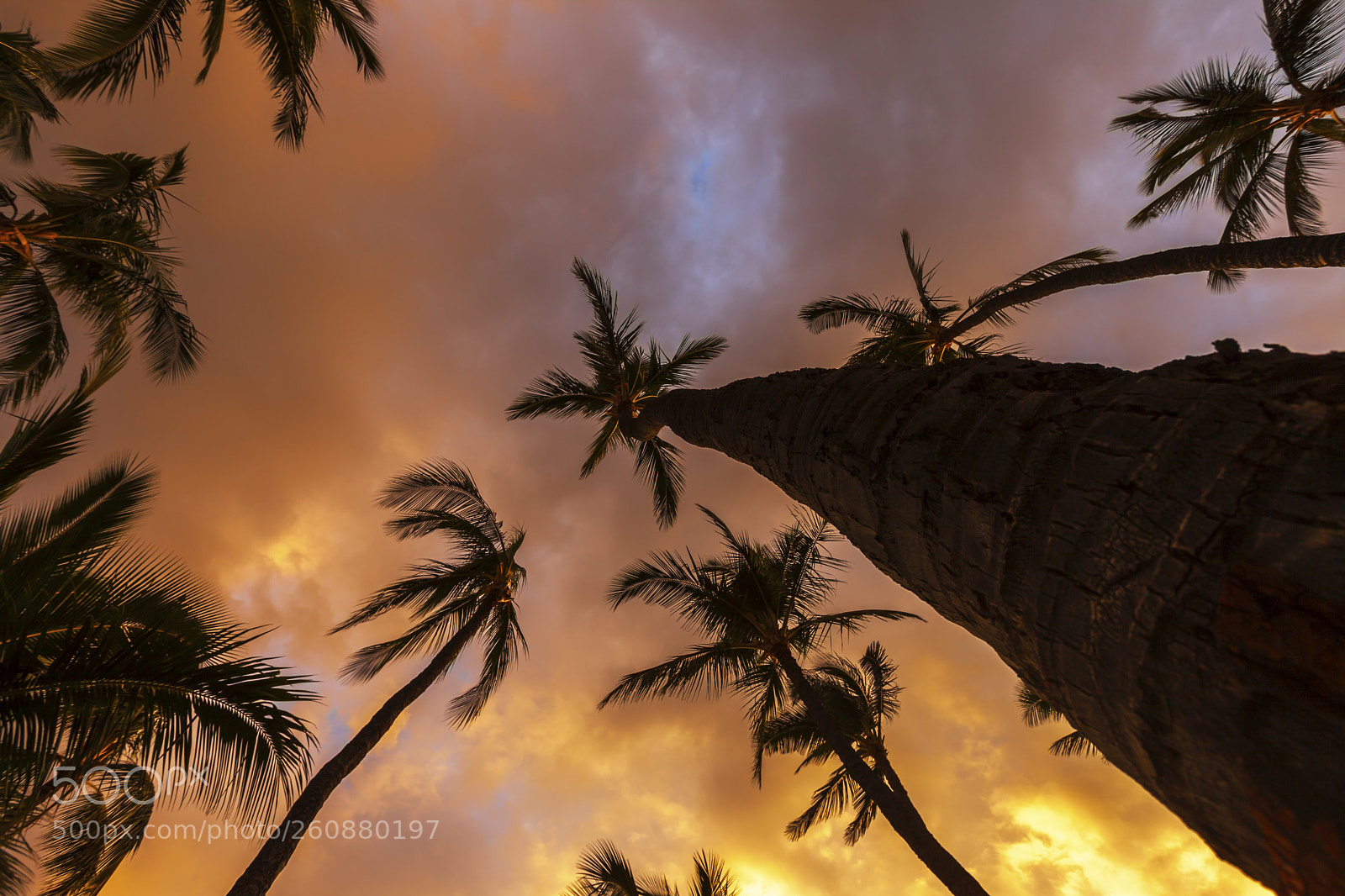Canon EOS 5D Mark II sample photo. Spectacular sunset on the photography