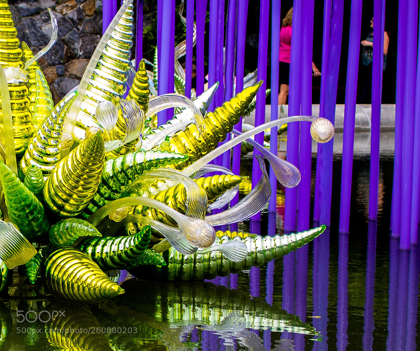 Canon EOS 750D (EOS Rebel T6i / EOS Kiss X8i) sample photo. Chihuly exhibit at biltmore photography