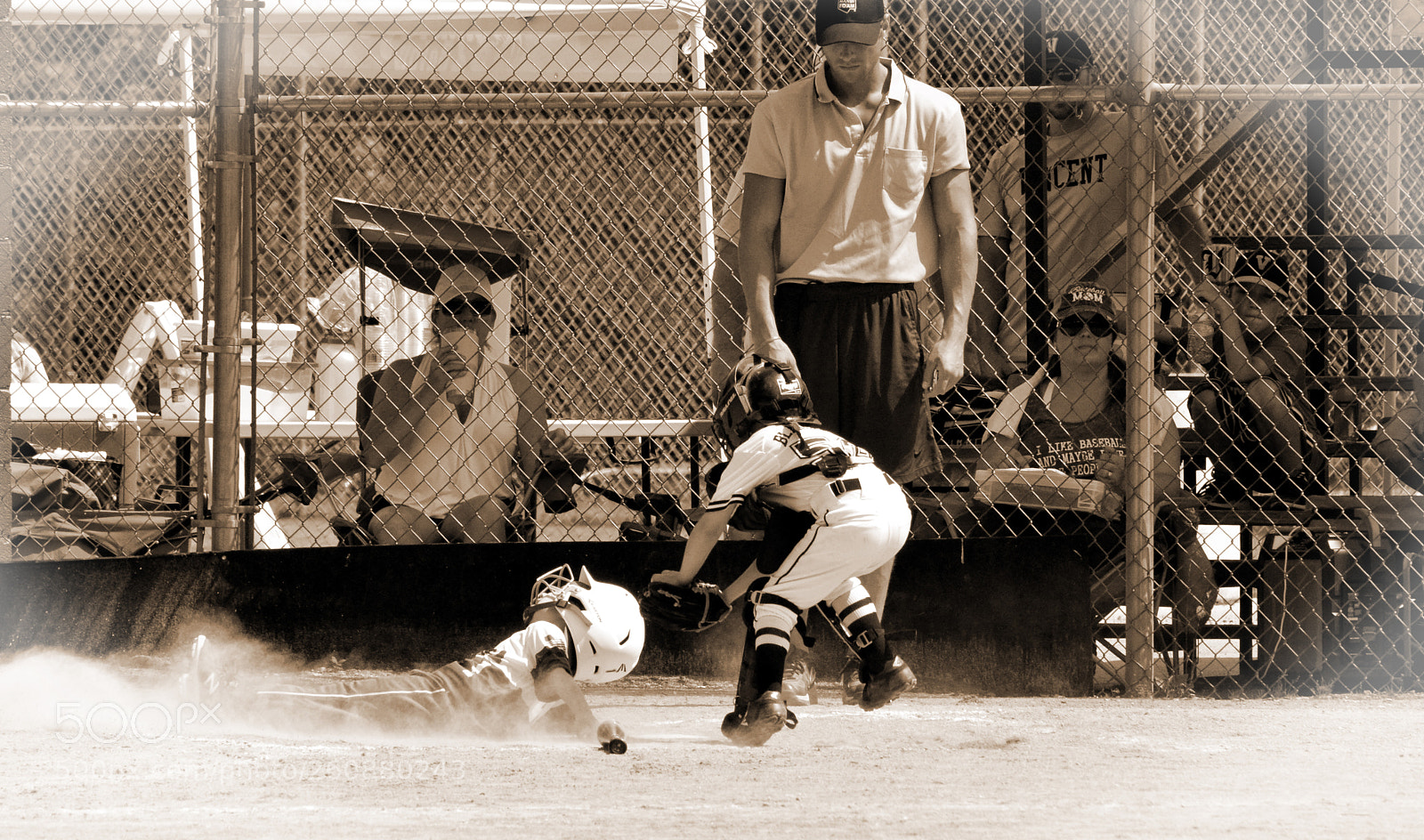Nikon D7000 sample photo. Slide 4 b&w photography