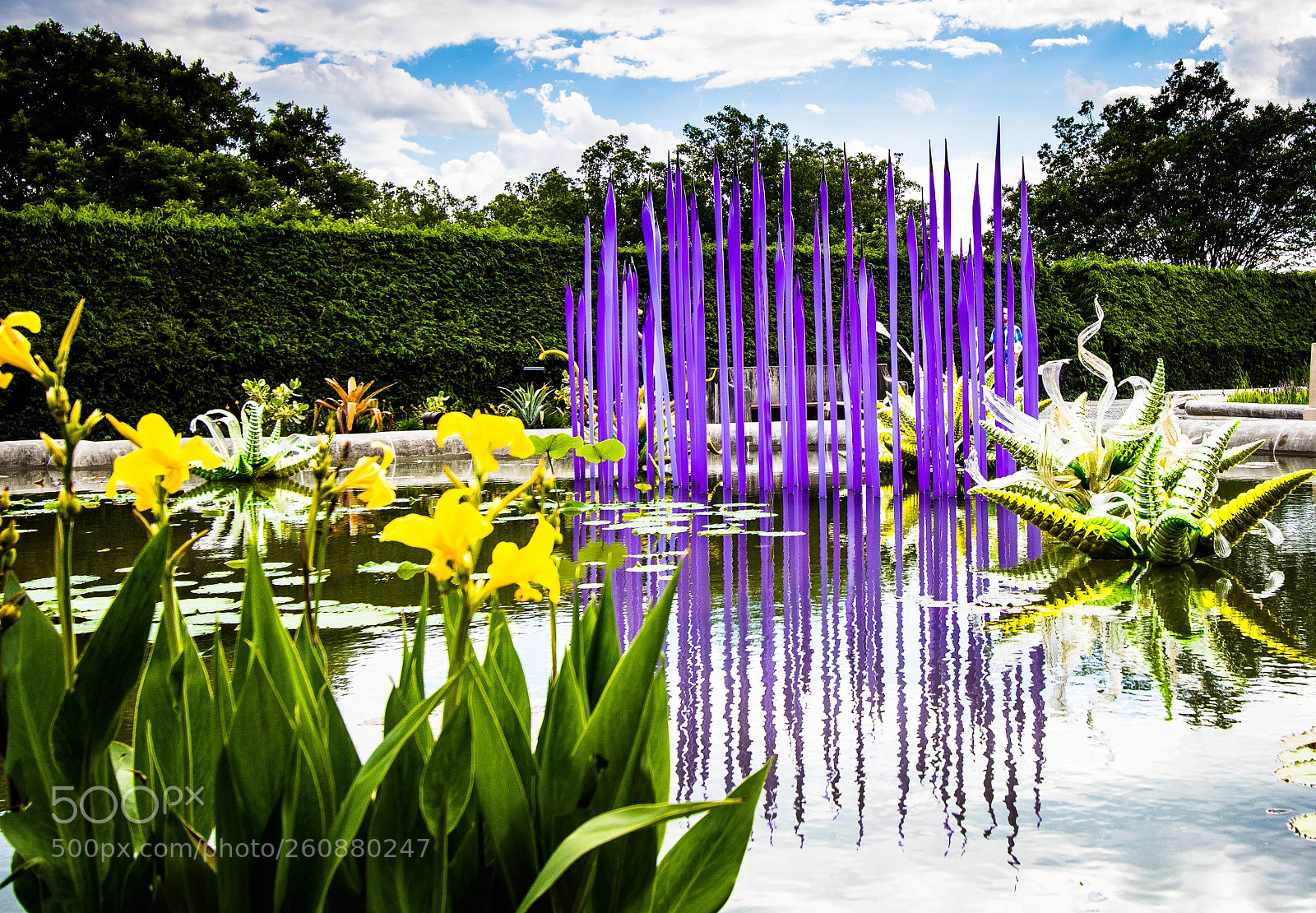 Canon EOS 750D (EOS Rebel T6i / EOS Kiss X8i) sample photo. Chihuly exhibit at biltmore photography