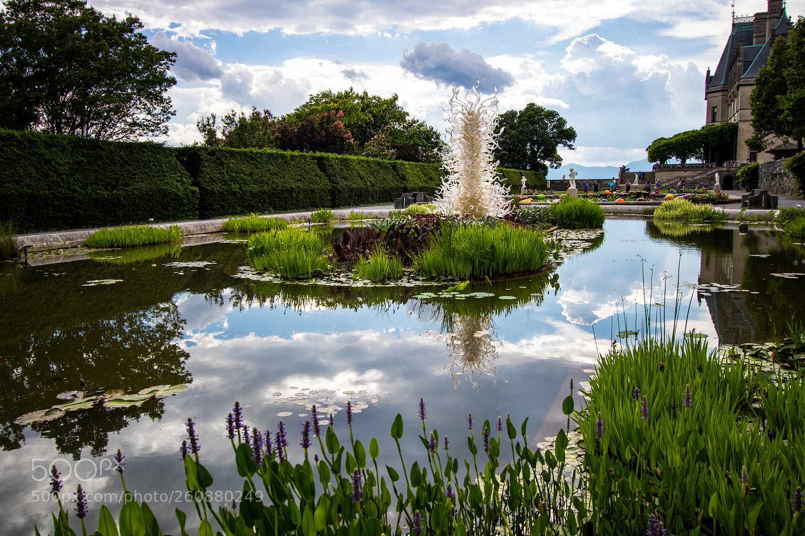 Canon EOS 750D (EOS Rebel T6i / EOS Kiss X8i) sample photo. Chihuly exhibit at biltmore photography