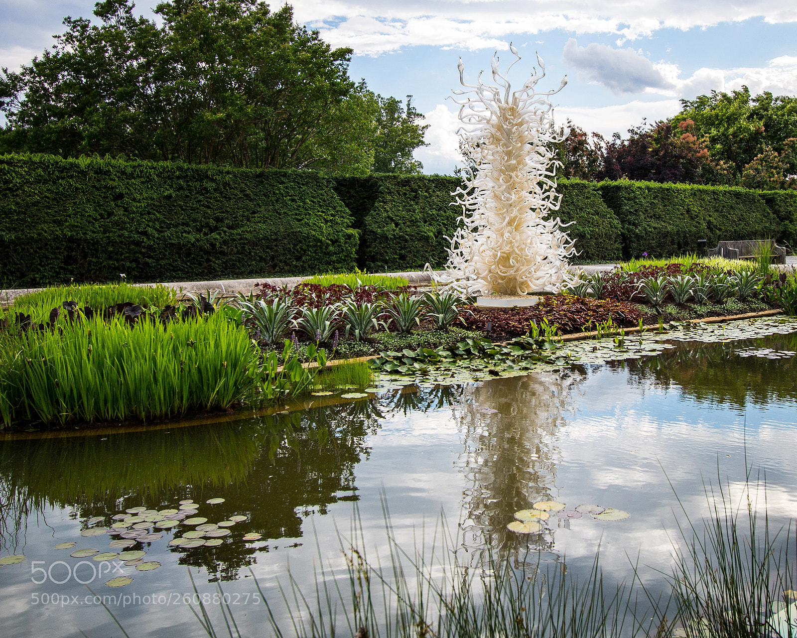 Canon EOS 750D (EOS Rebel T6i / EOS Kiss X8i) sample photo. Chihuly exhibit at biltmore photography
