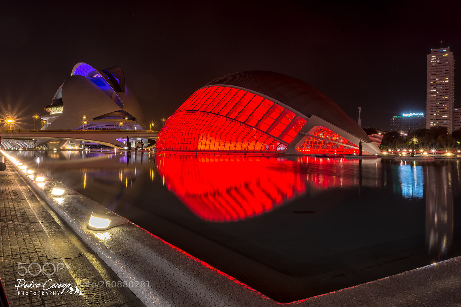 Nikon D7200 sample photo. Ciudad de las artes photography