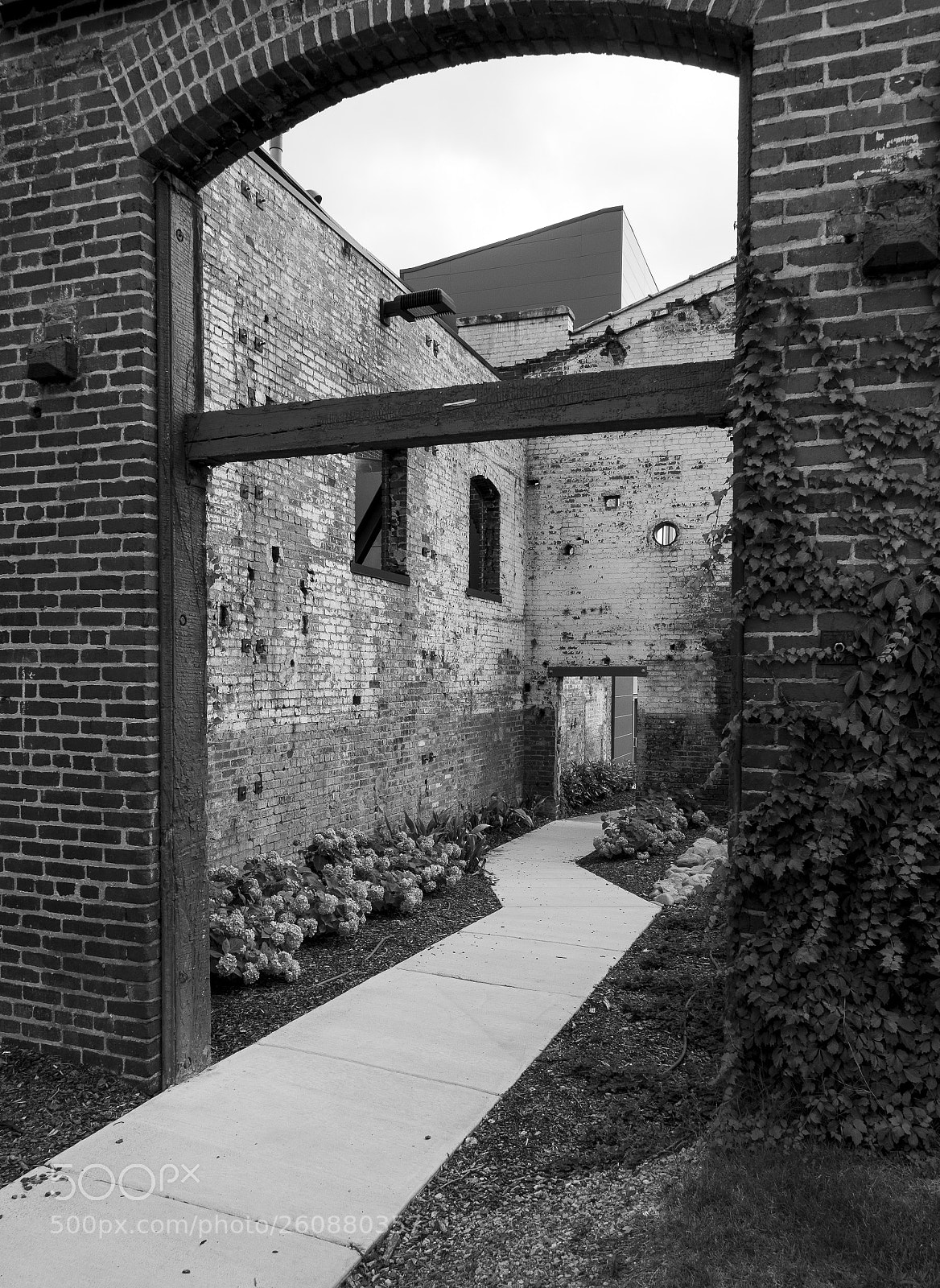 Sony Cyber-shot DSC-RX100 III sample photo. Bw photography