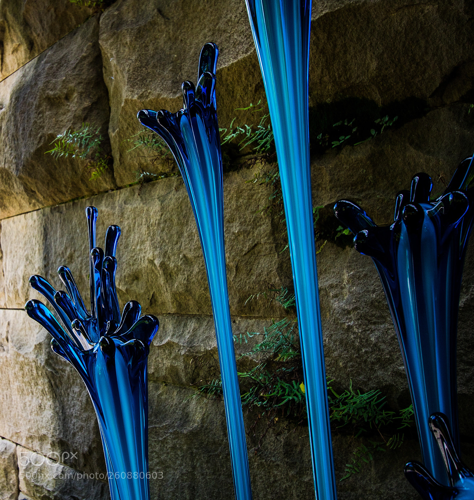 Canon EOS 750D (EOS Rebel T6i / EOS Kiss X8i) sample photo. Chihuly exhibit at biltmore photography