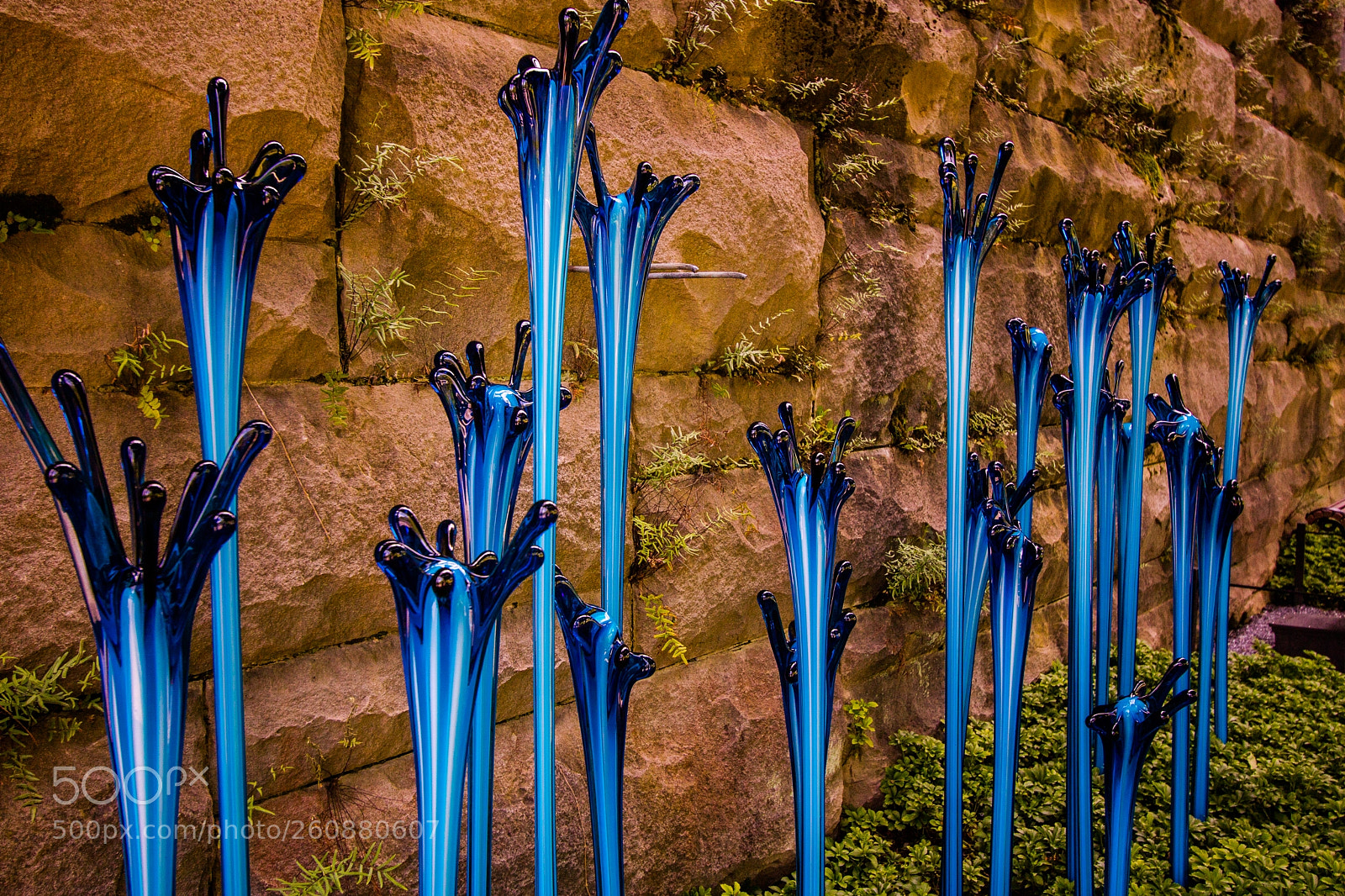 Canon EOS 750D (EOS Rebel T6i / EOS Kiss X8i) sample photo. Chihuly exhibit at biltmore photography