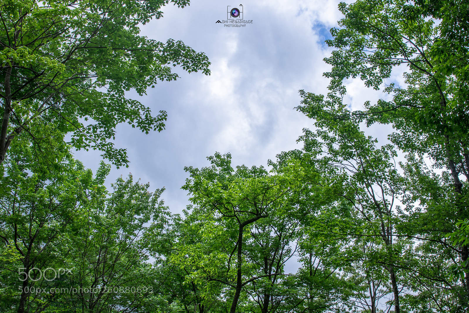 Canon EOS 80D sample photo. A view for eternity! photography