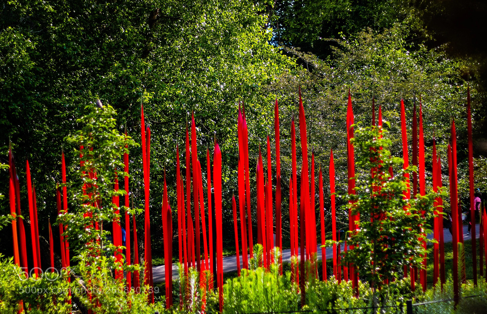 Canon EOS 750D (EOS Rebel T6i / EOS Kiss X8i) sample photo. Chihuly exhibit at biltmore photography