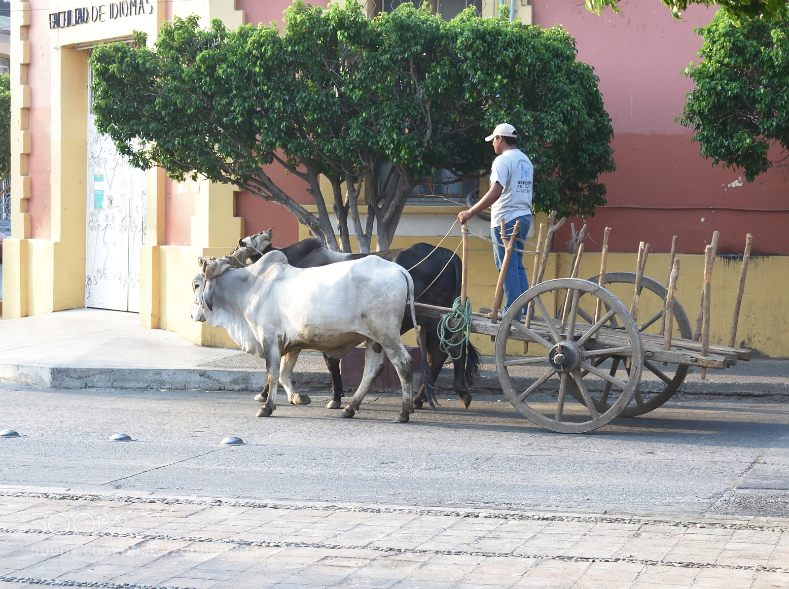 Nikon D3400 sample photo. Carreta photography