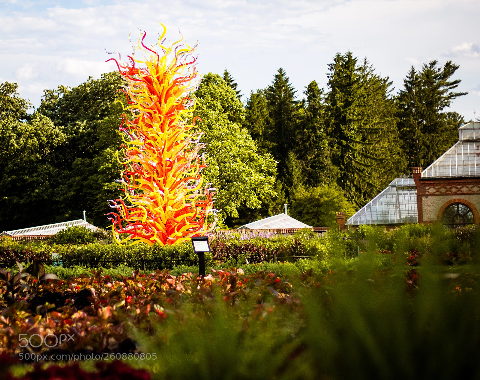 Canon EOS 750D (EOS Rebel T6i / EOS Kiss X8i) sample photo. Chihuly exhibit at biltmore photography