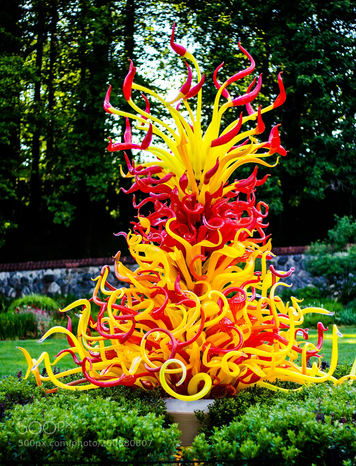 Canon EOS 750D (EOS Rebel T6i / EOS Kiss X8i) sample photo. Chihuly exhibit at biltmore photography