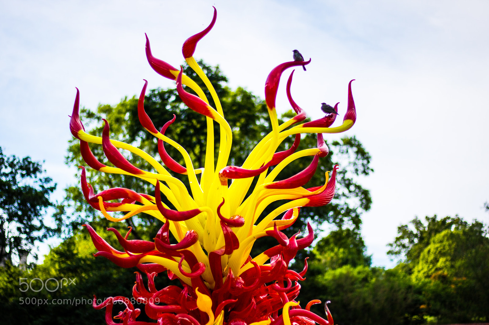 Canon EOS 750D (EOS Rebel T6i / EOS Kiss X8i) sample photo. Chihuly exhibit at biltmore photography