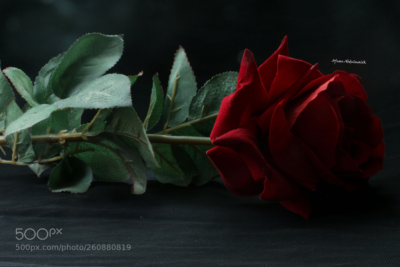 Canon EOS 70D sample photo. Untitled photography