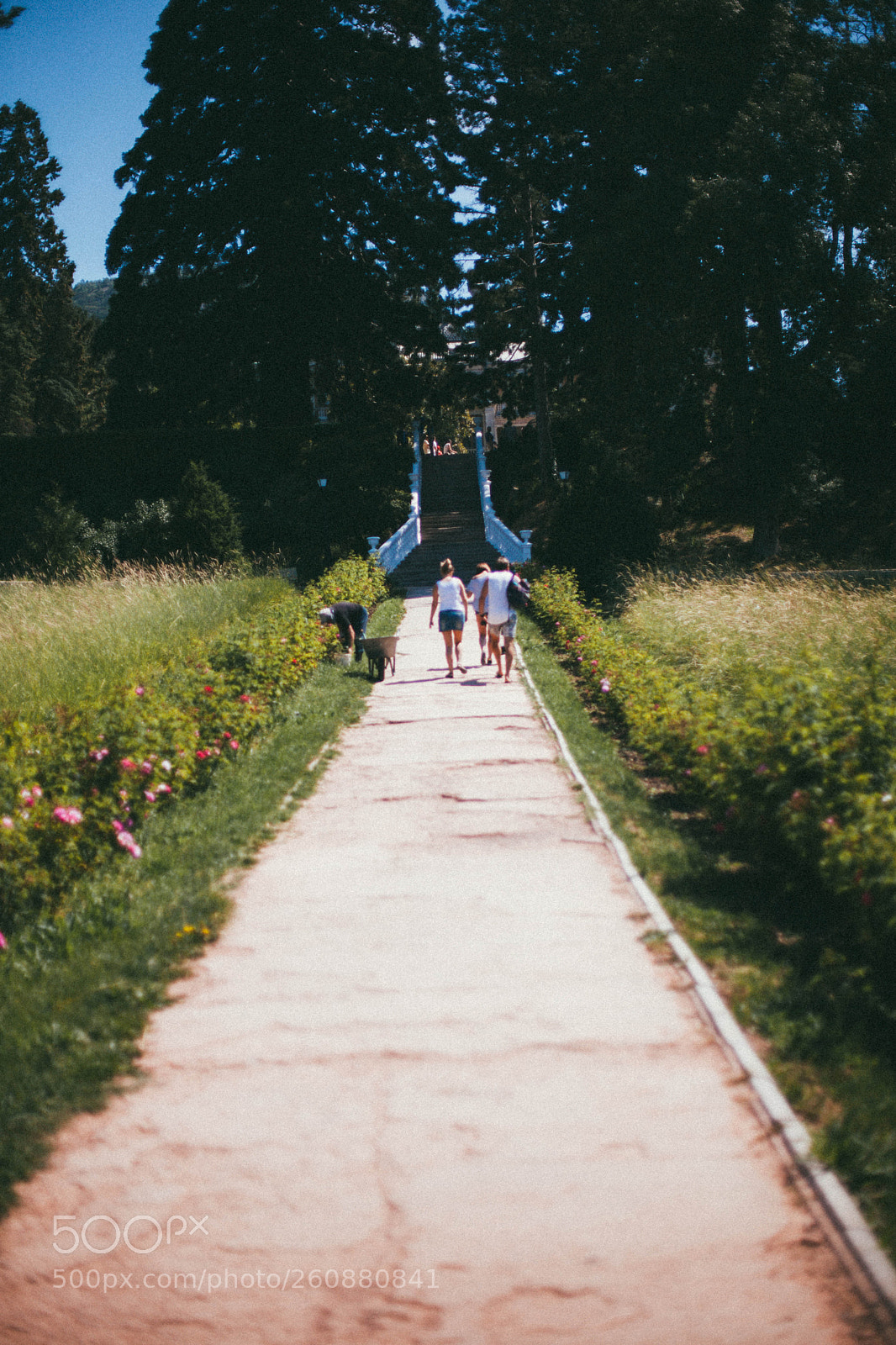 Canon EOS 5D Mark II sample photo. Summer trip in crimea photography