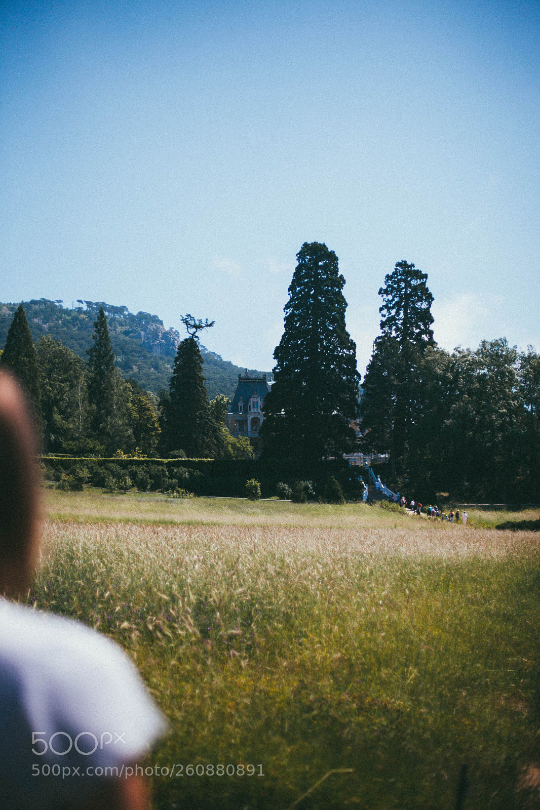 Canon EOS 5D Mark II sample photo. Summer trip in crimea photography