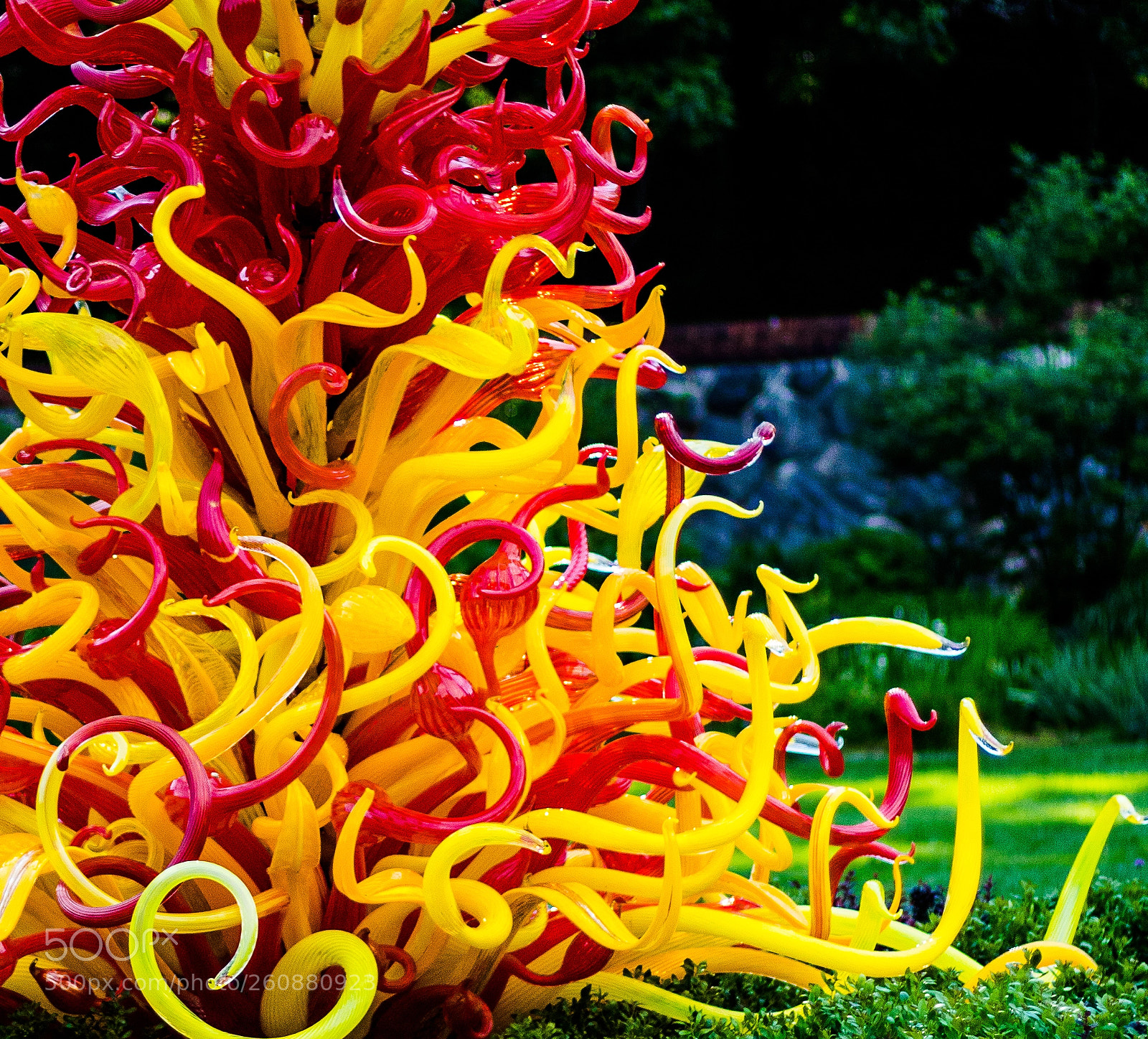 Canon EOS 750D (EOS Rebel T6i / EOS Kiss X8i) sample photo. Chihuly exhibit at biltmore photography