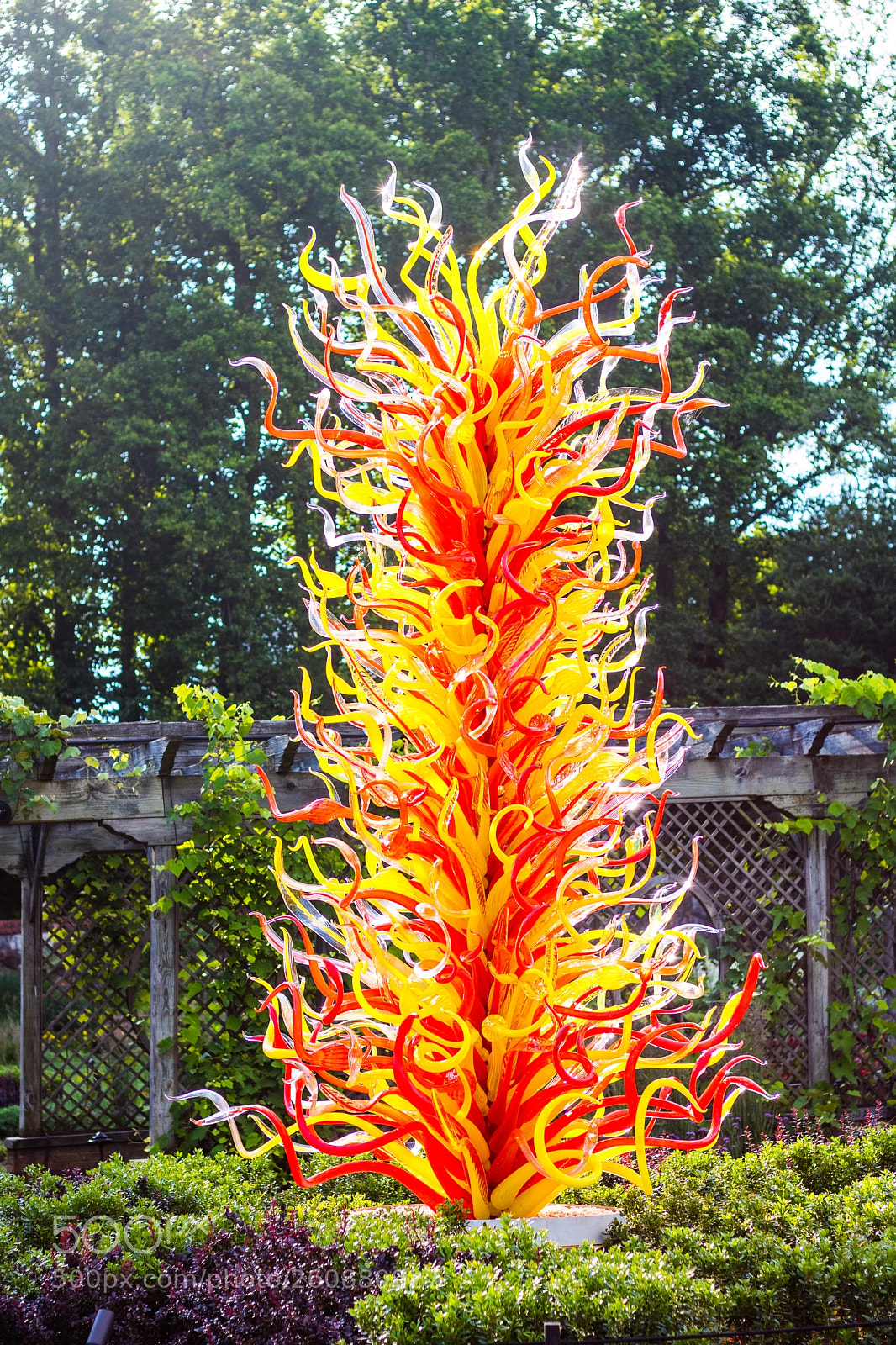 Canon EOS 750D (EOS Rebel T6i / EOS Kiss X8i) sample photo. Chihuly exhibit at biltmore photography