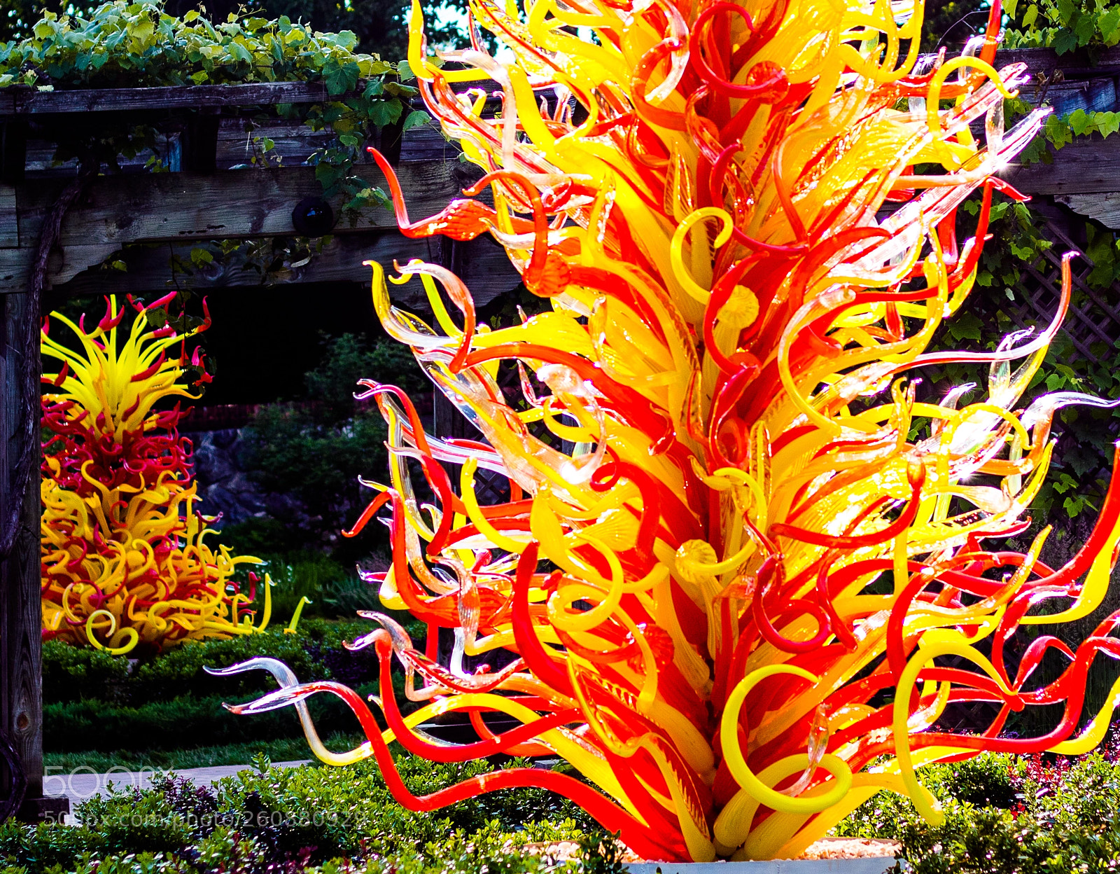 Canon EOS 750D (EOS Rebel T6i / EOS Kiss X8i) sample photo. Chihuly exhibit at biltmore photography