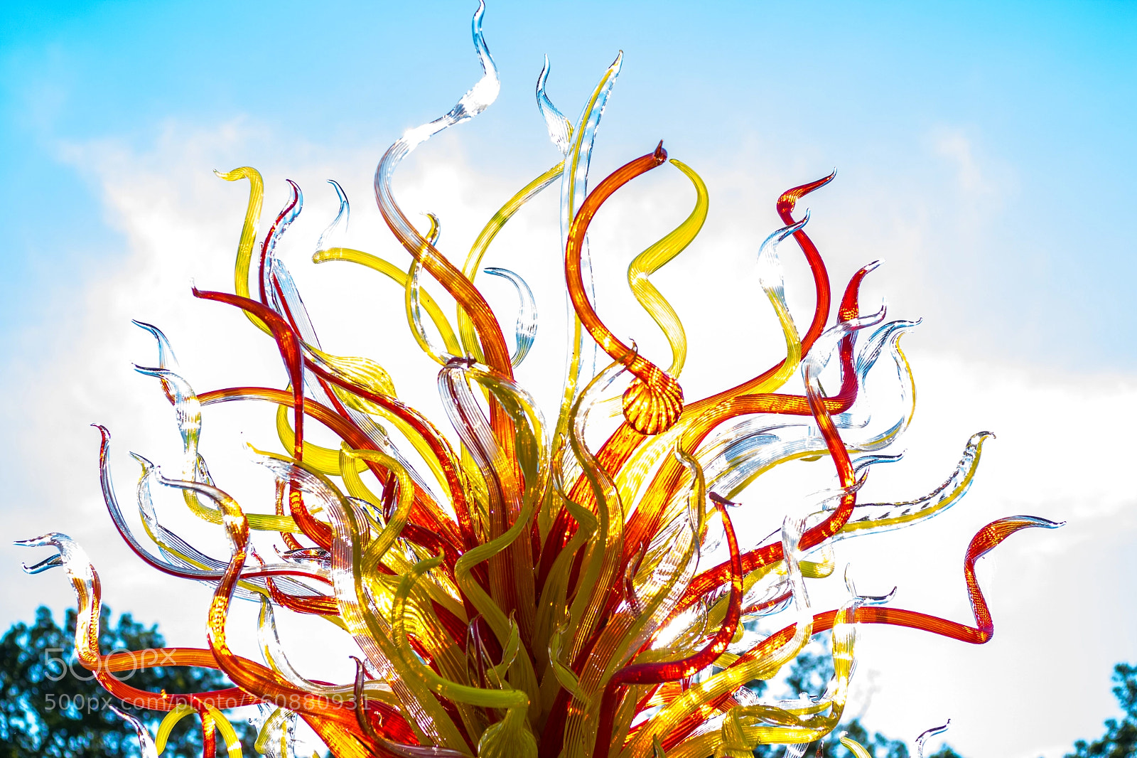 Canon EOS 750D (EOS Rebel T6i / EOS Kiss X8i) sample photo. Chihuly exhibit at biltmore photography