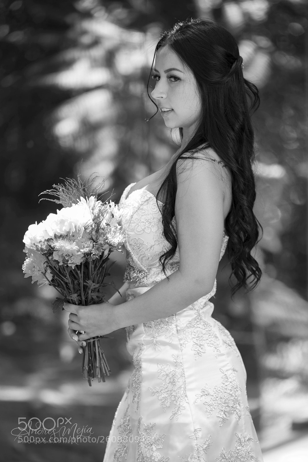 Nikon D810 sample photo. Novia photography