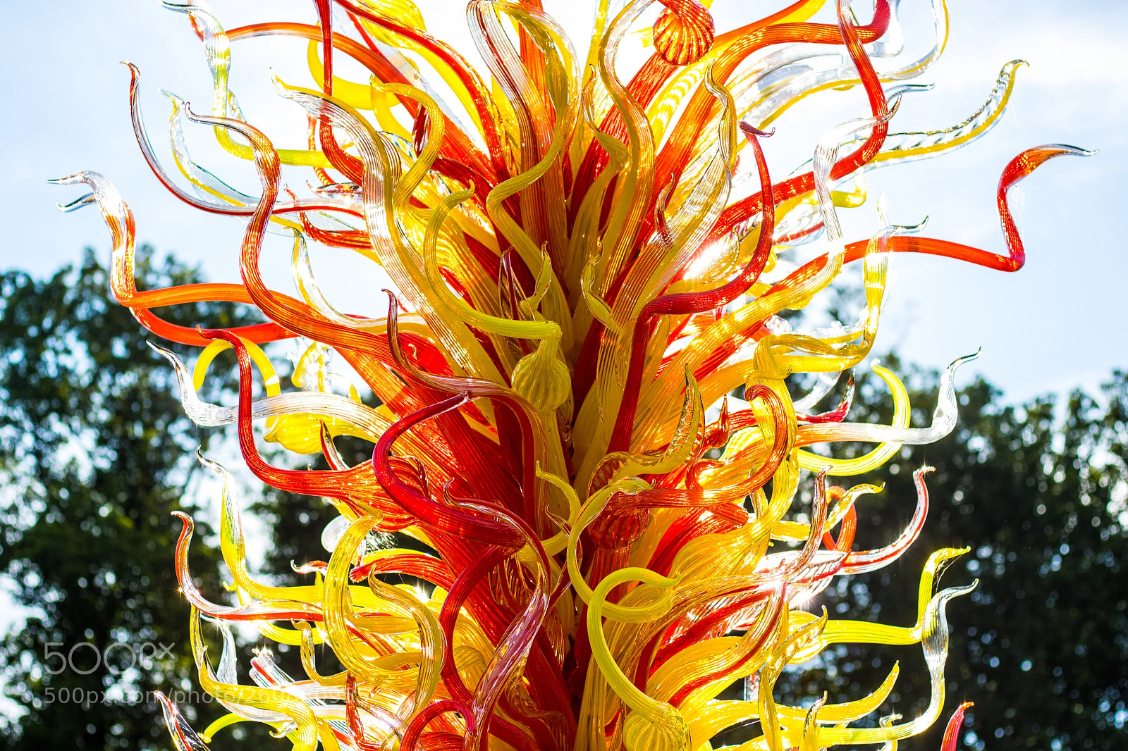 Canon EOS 750D (EOS Rebel T6i / EOS Kiss X8i) sample photo. Chihuly exhibit at biltmore photography