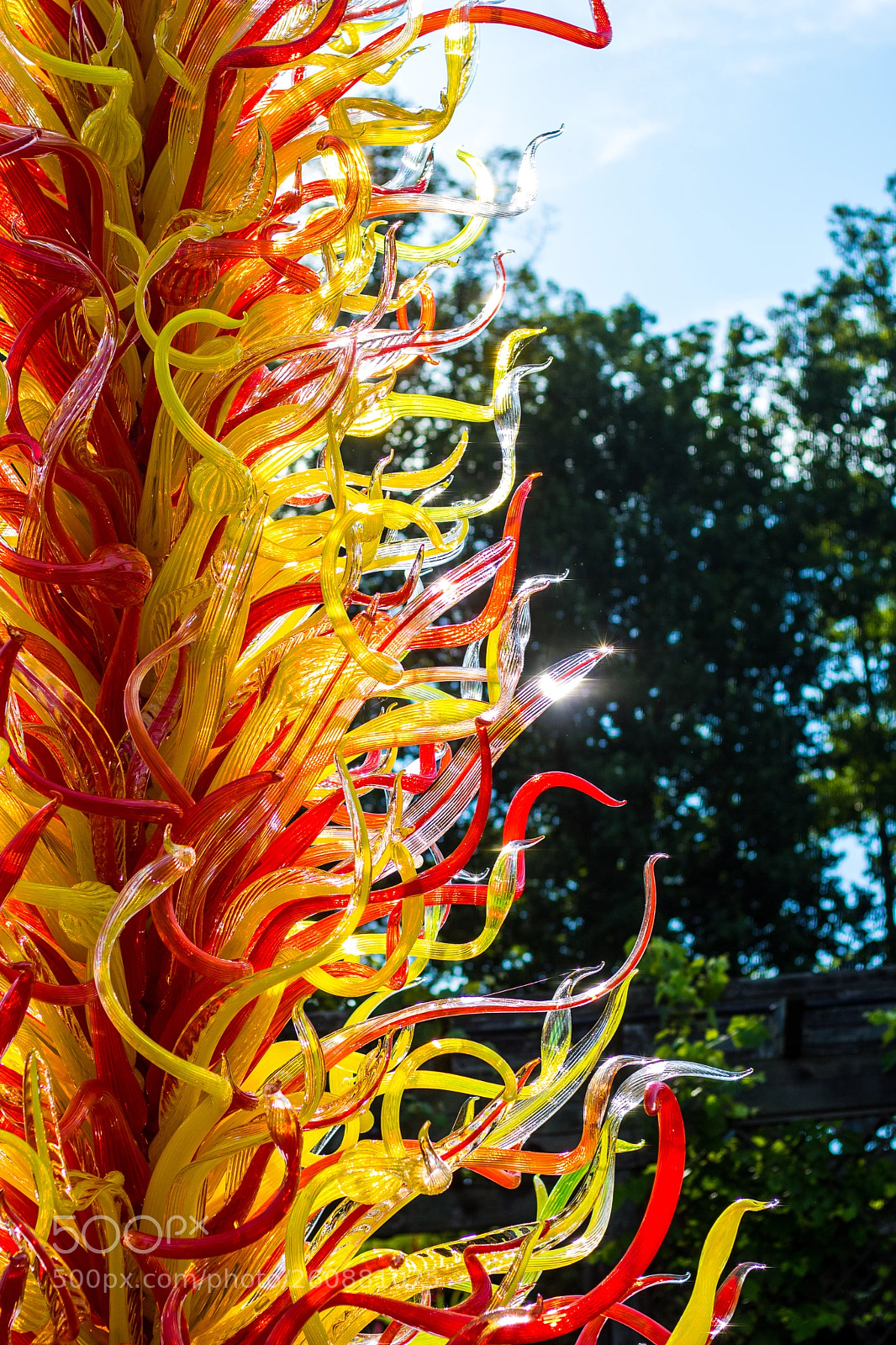 Canon EOS 750D (EOS Rebel T6i / EOS Kiss X8i) sample photo. Chihuly exhibit at biltmore photography