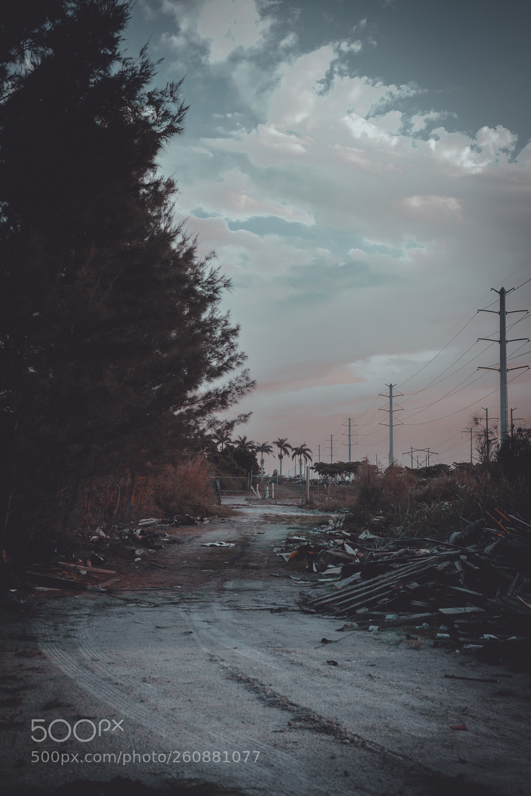 Sony a7 sample photo. Untitled photography