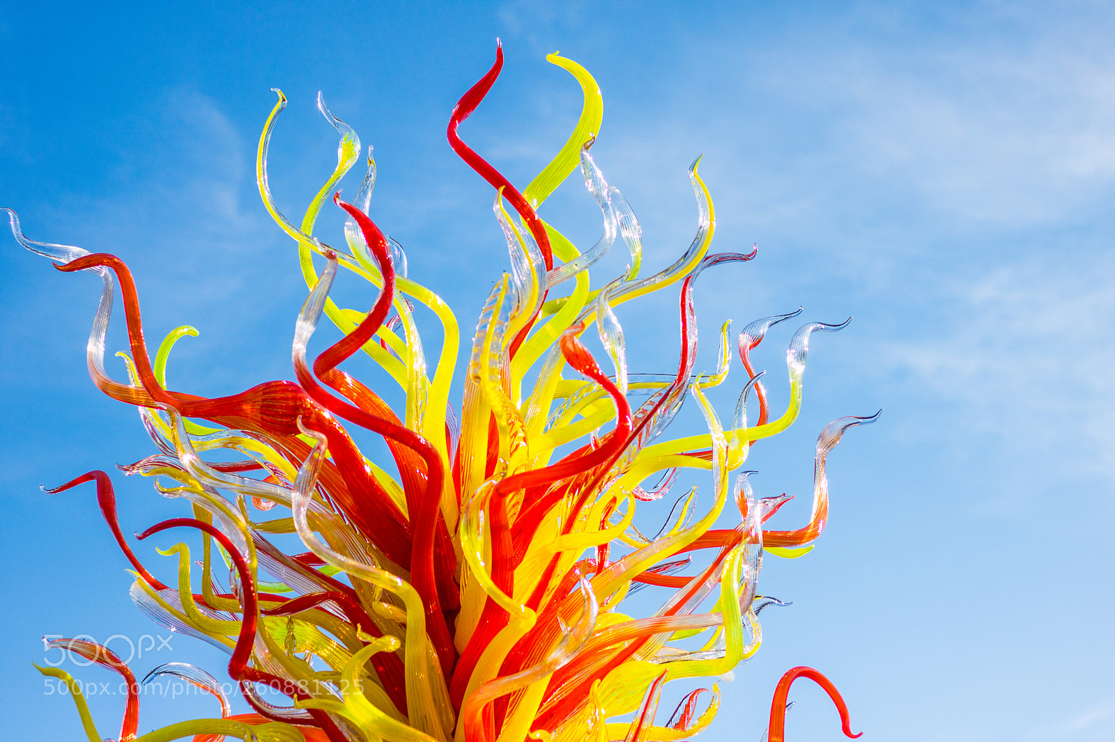 Canon EOS 750D (EOS Rebel T6i / EOS Kiss X8i) sample photo. Chihuly exhibit at biltmore photography