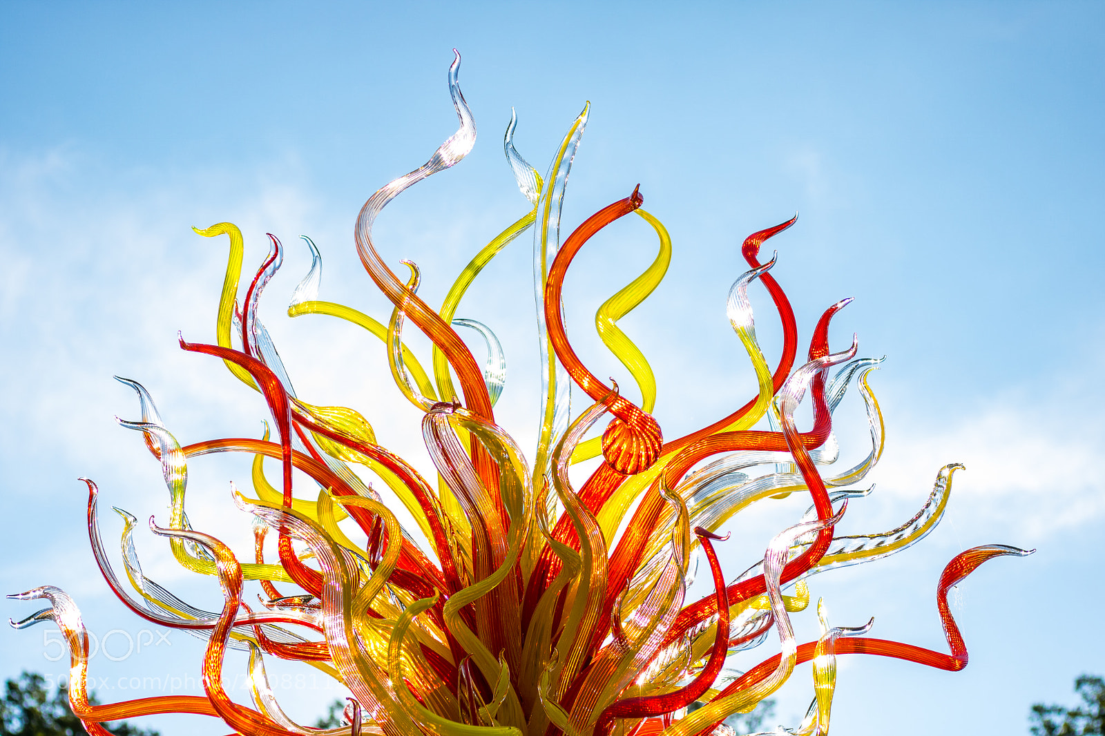 Canon EOS 750D (EOS Rebel T6i / EOS Kiss X8i) sample photo. Chihuly exhibit at biltmore photography