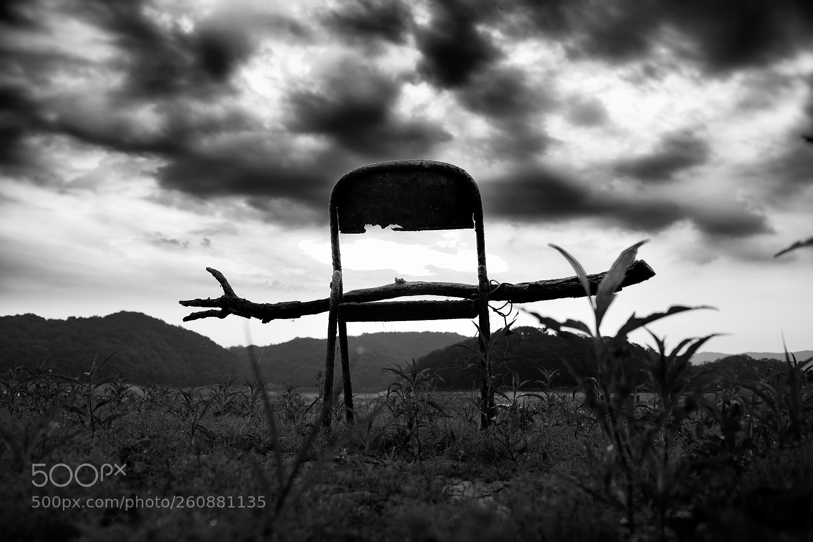 Nikon D810 sample photo. Fear. photography