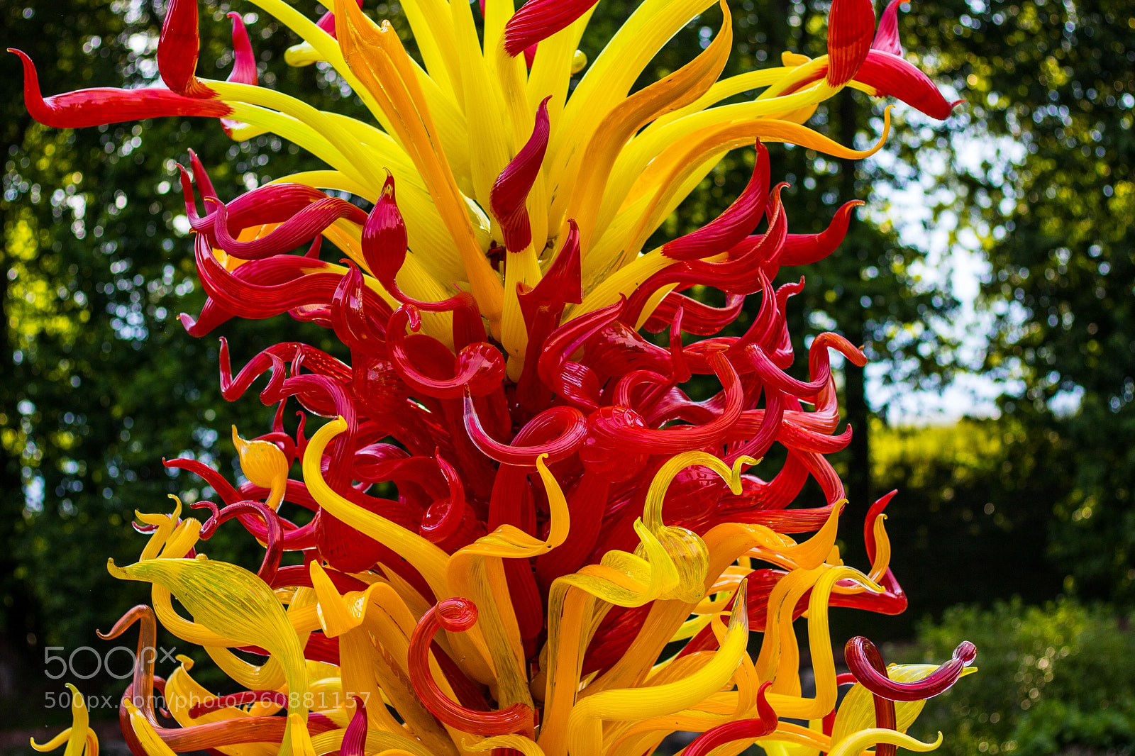 Canon EOS 750D (EOS Rebel T6i / EOS Kiss X8i) sample photo. Chihuly exhibit at biltmore photography