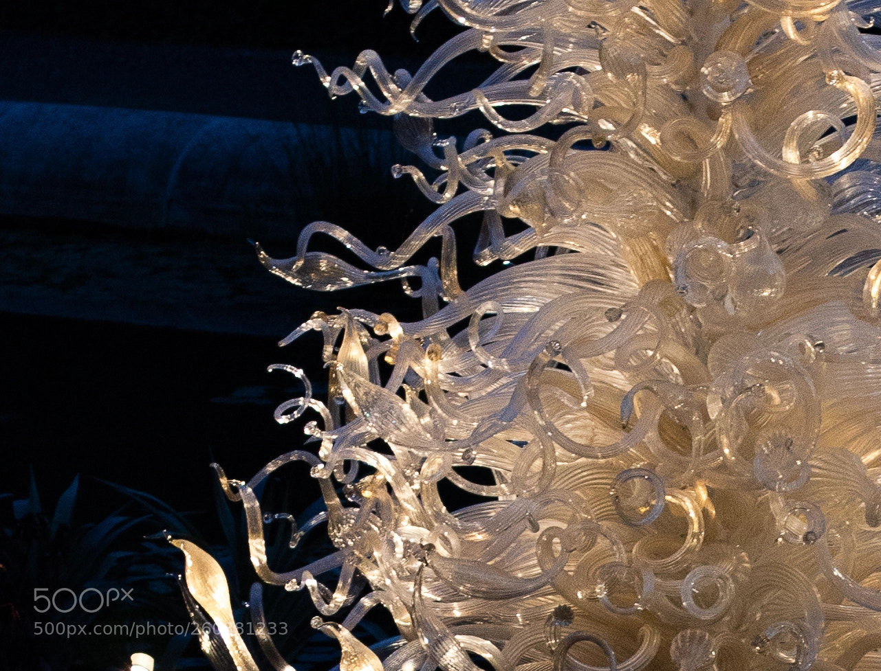 Canon EOS 750D (EOS Rebel T6i / EOS Kiss X8i) sample photo. Chihuly exhibit at biltmore photography