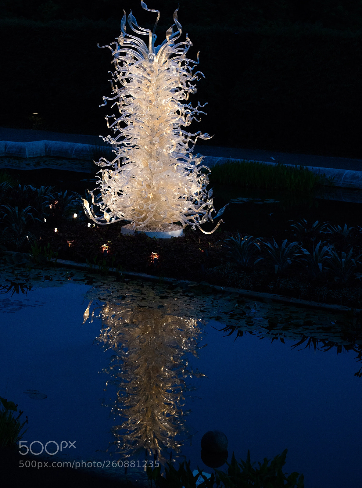 Canon EOS 750D (EOS Rebel T6i / EOS Kiss X8i) sample photo. Chihuly exhibit at biltmore photography