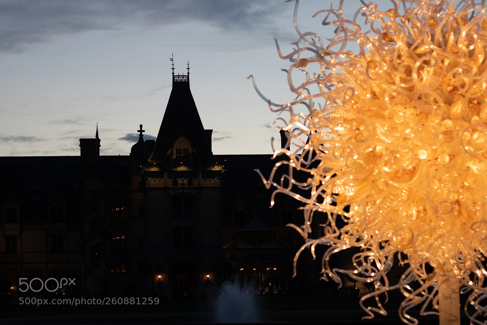 Canon EOS 750D (EOS Rebel T6i / EOS Kiss X8i) sample photo. Chihuly exhibit at biltmore photography