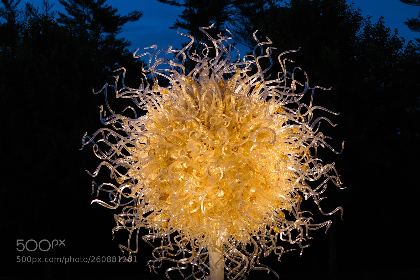 Canon EOS 750D (EOS Rebel T6i / EOS Kiss X8i) sample photo. Chihuly exhibit at biltmore photography