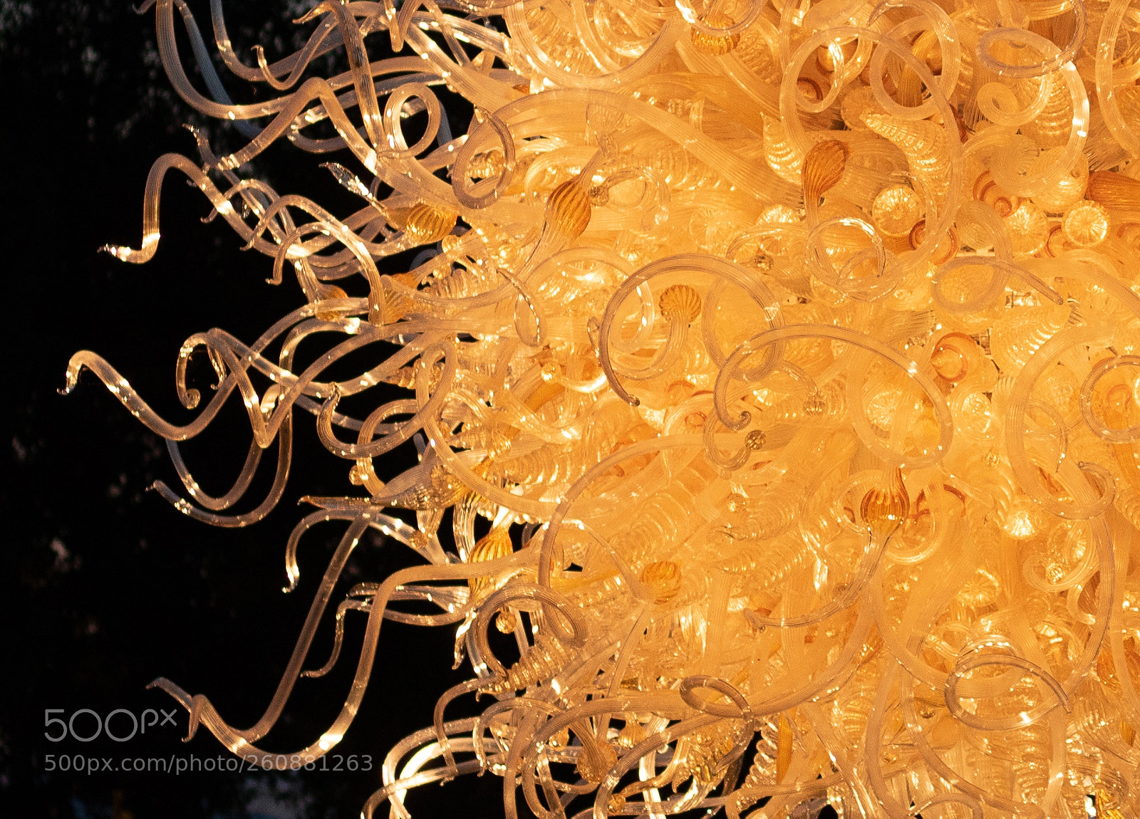 Canon EOS 750D (EOS Rebel T6i / EOS Kiss X8i) sample photo. Chihuly exhibit at biltmore photography