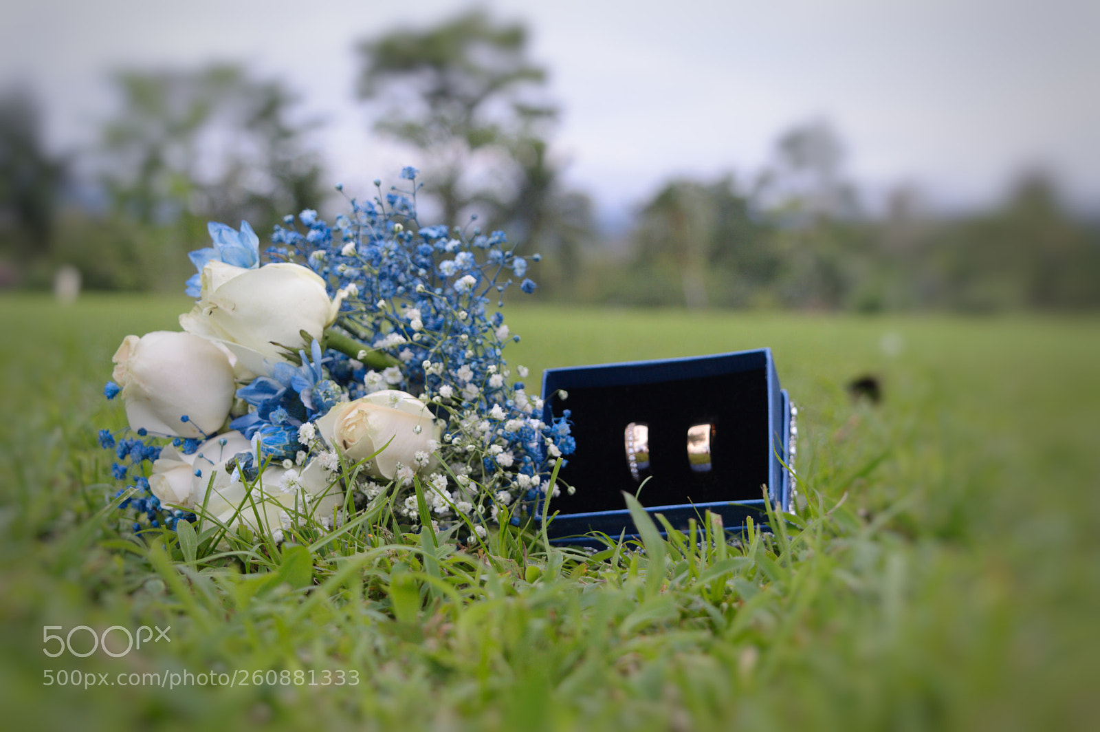 Nikon D3200 sample photo. Untitled photography