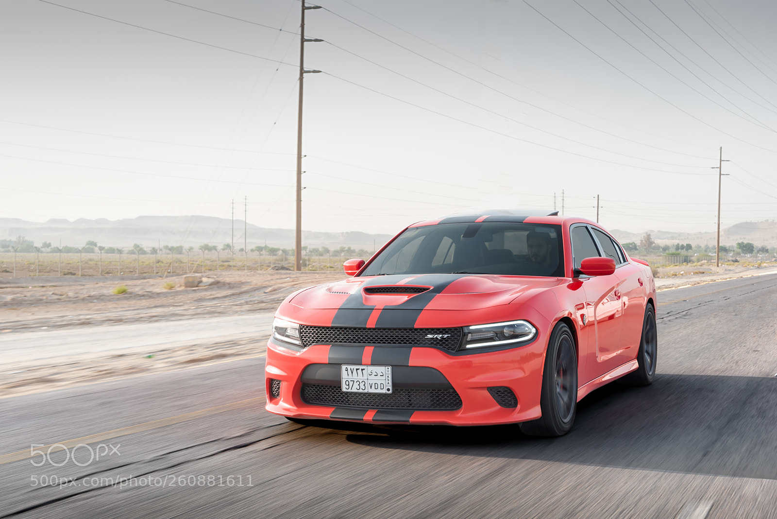 Nikon D750 sample photo. Hellcat orange photography
