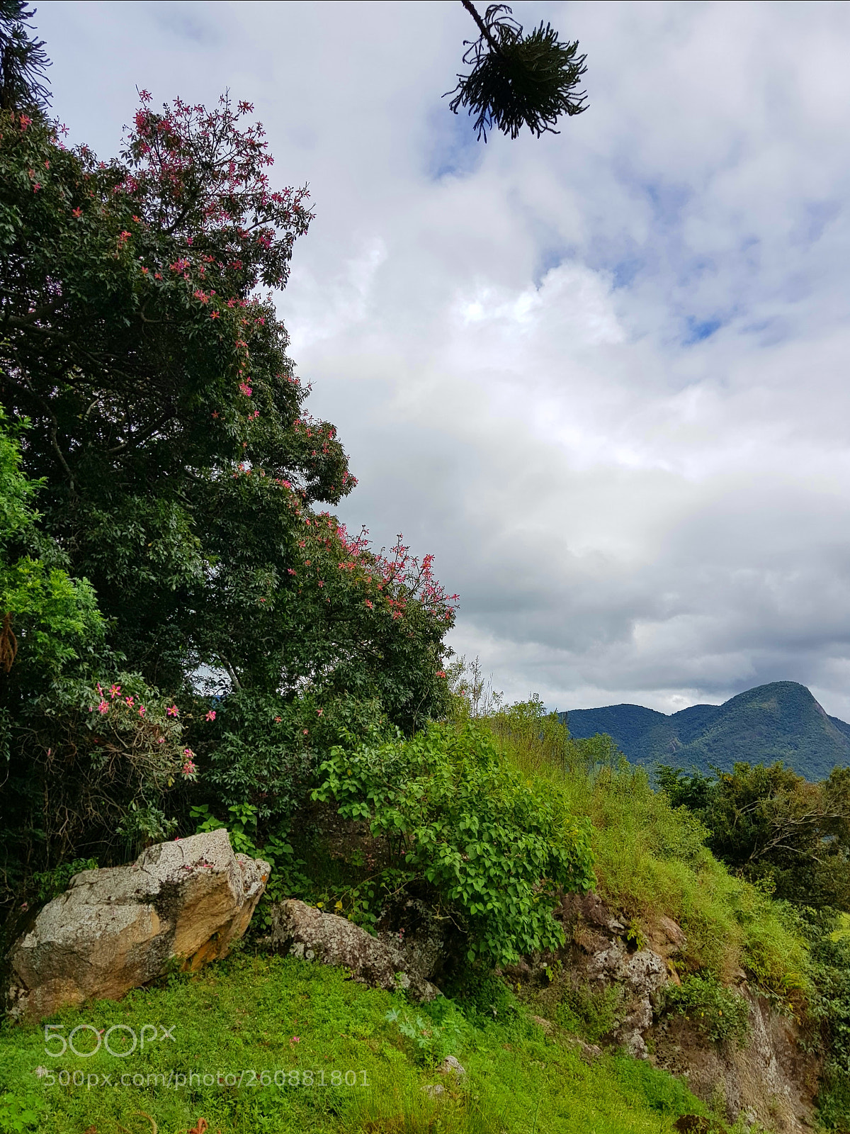 Samsung Galaxy S8 sample photo. Approach photography
