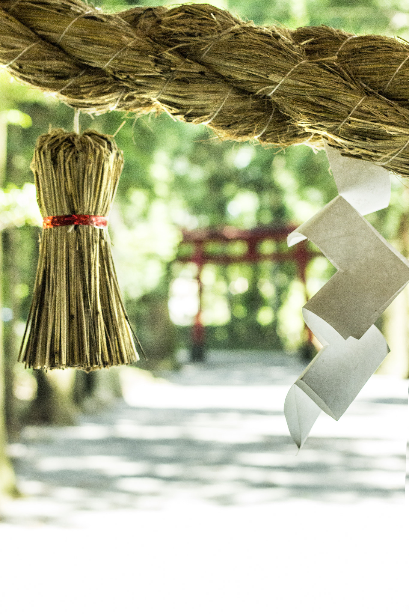 Canon EOS 600D (Rebel EOS T3i / EOS Kiss X5) sample photo. 注連縄鳥居 photography