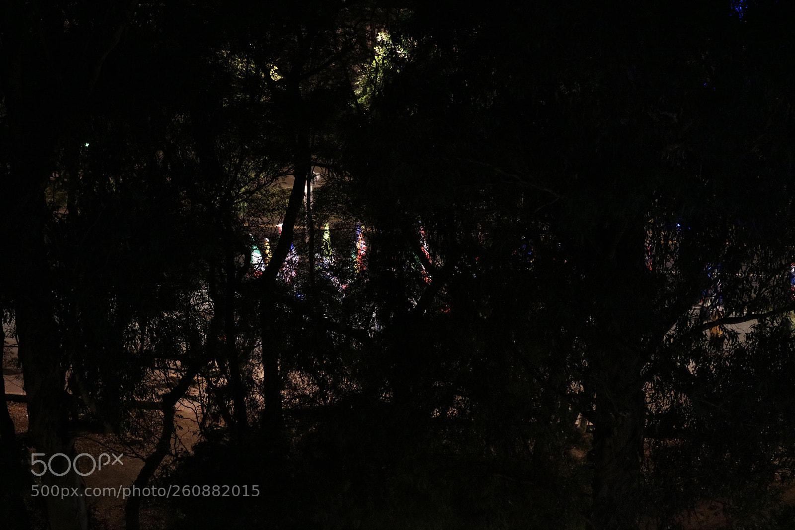 Canon EOS 5DS R sample photo. Caminando en la oscuridad.  photography