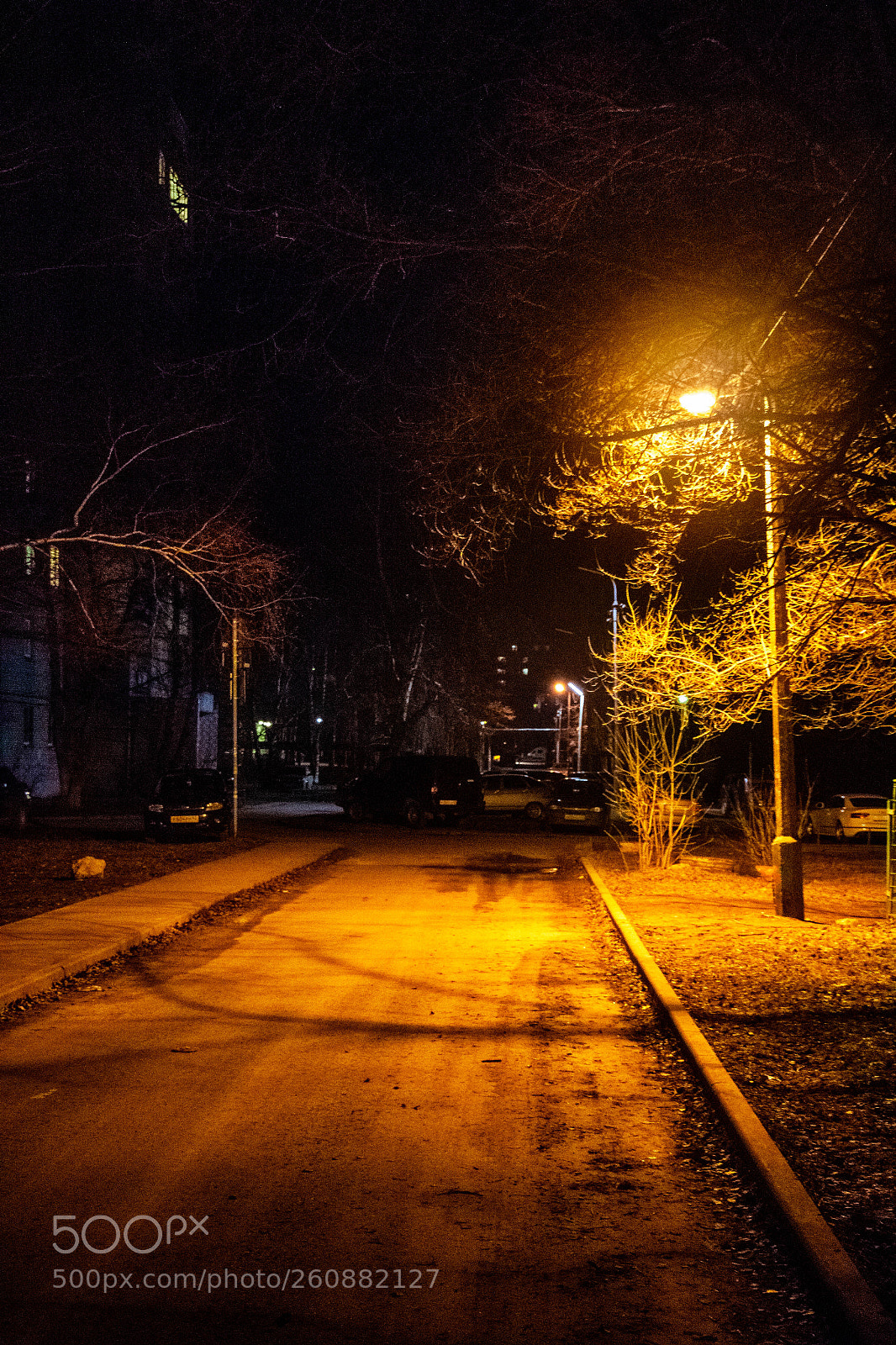 Canon EOS 650D (EOS Rebel T4i / EOS Kiss X6i) sample photo. Night photography