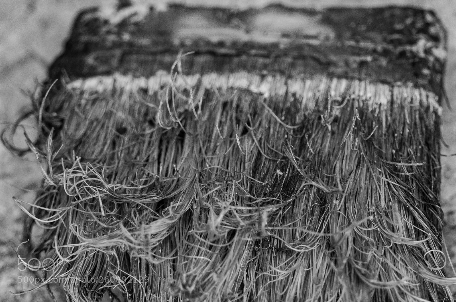 Sony a6000 sample photo. Untitled photography